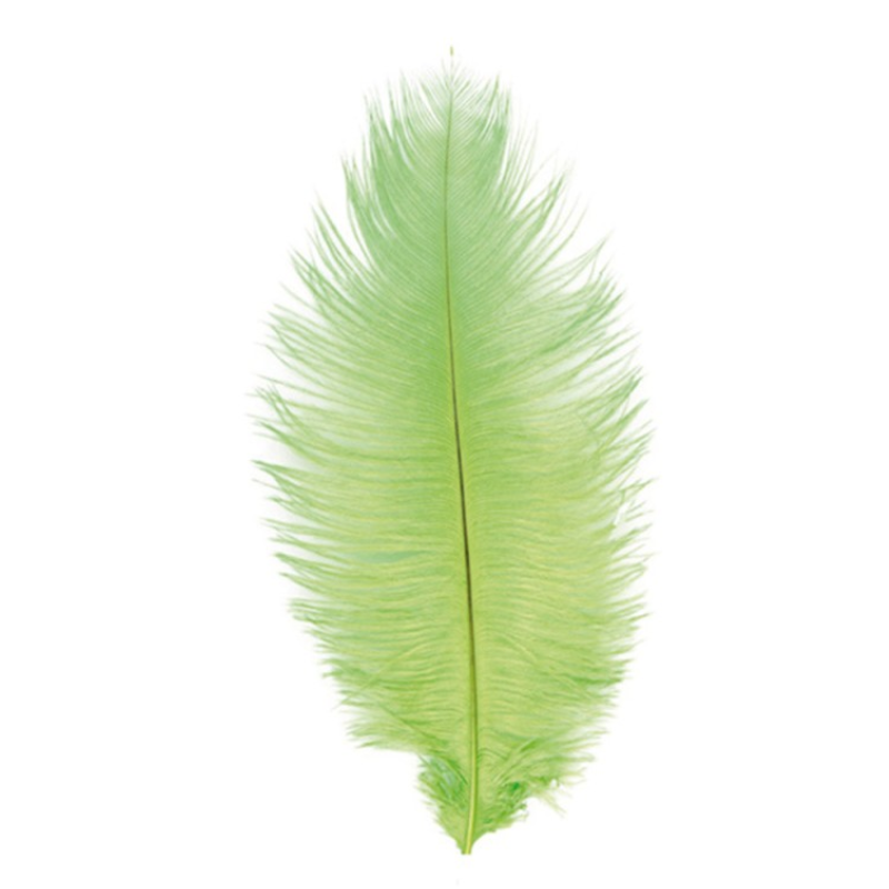2 Plumes d'autruche / 30-35 cm