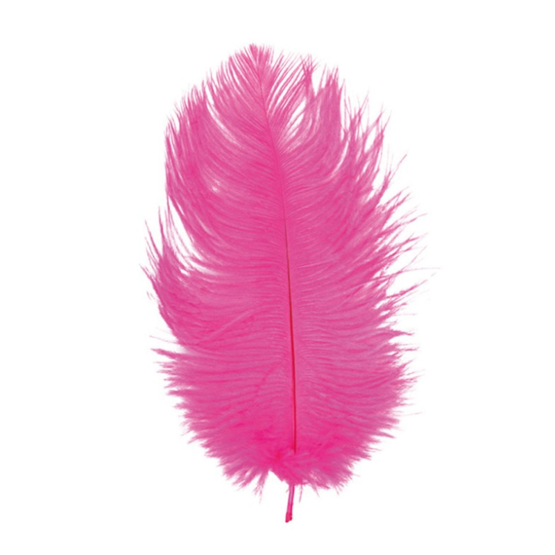 2 Plumes d'autruche / 30-35 cm