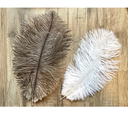 2 Plumes d'autruche / 30-35 cm
