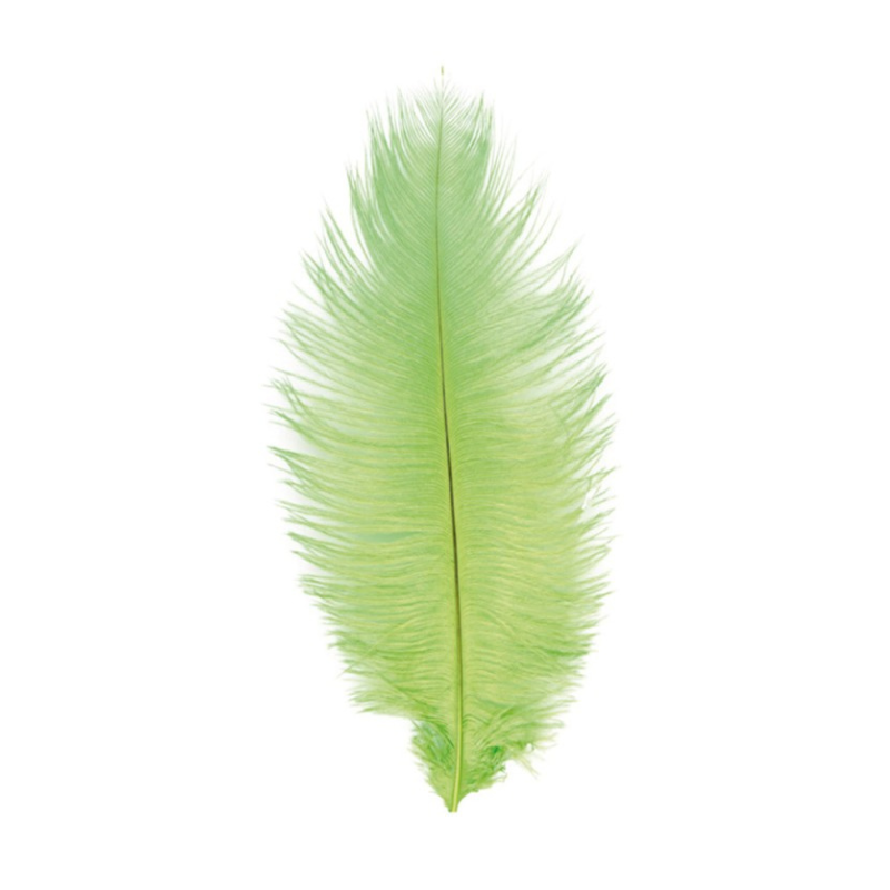Plume d'Autruche 55-60 cm, 1 pc