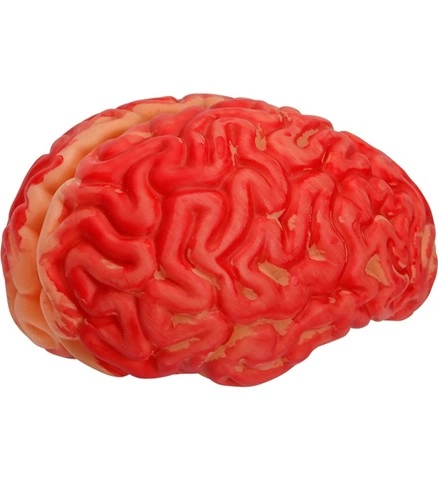 [WID46906] Bloody Brain