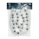 Toile d'araignée avec araignées
