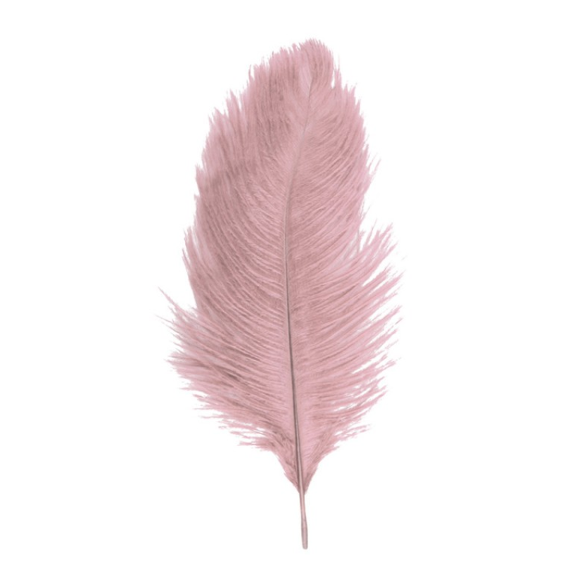 2 Ostrich Feathers / 30-35 cm
