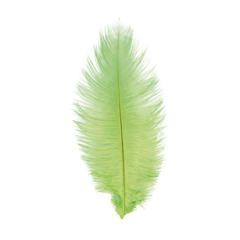 Ostrich Feather 55-60 cm, 1 pc