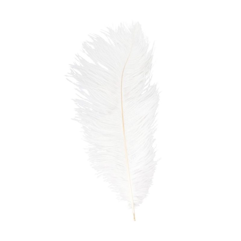 [CHA0719-00] Straußenfeder 55-60 cm, 1 Stück (Blanc)