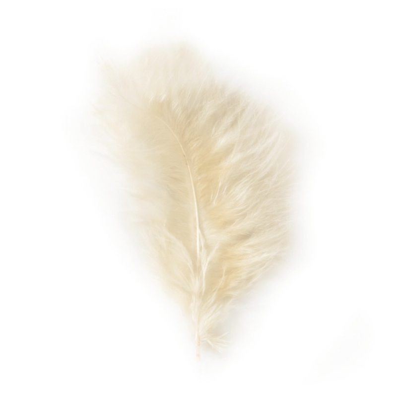 Lot de 5 plumes, 10/15CM