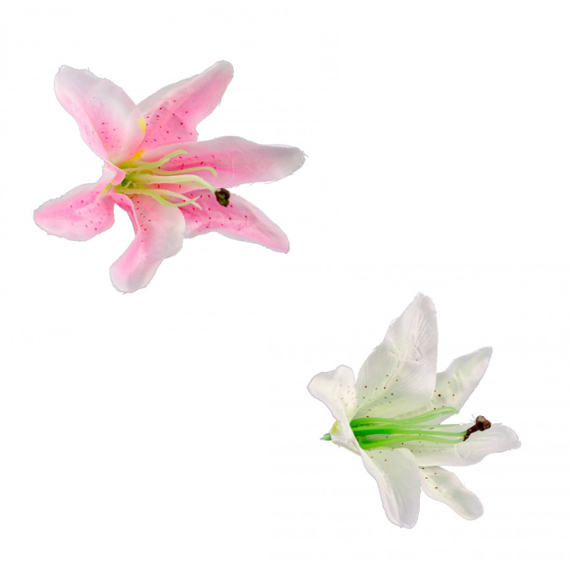 [CHA10356-00] Sachet de 6 fleurs tropicales roses 13 x 12 cm (Blanc)