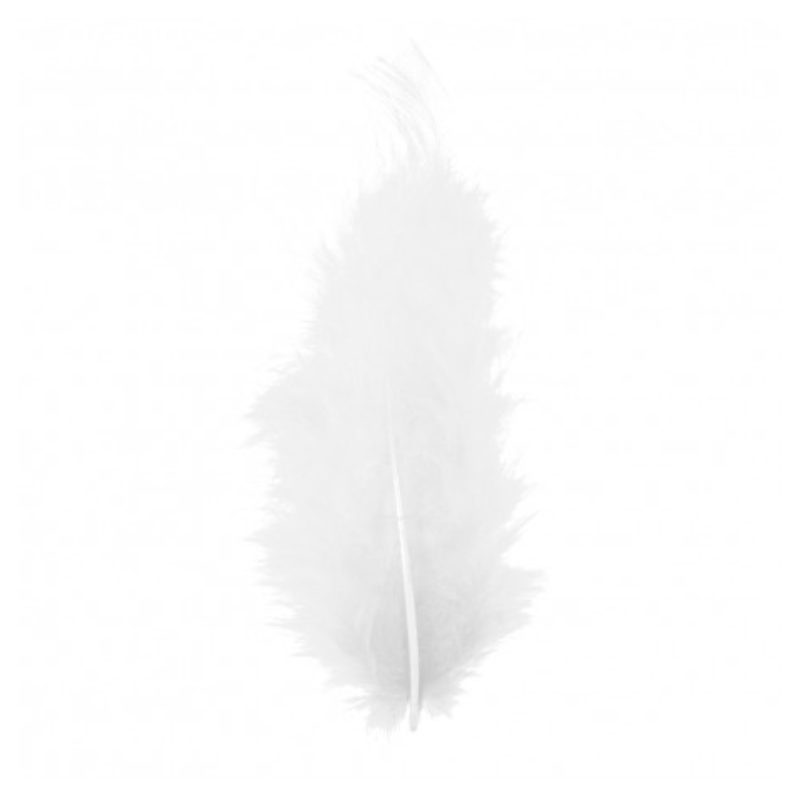 [CHA0702-00] POCHETTE PLUMES 10G 5-10CM PARME (Blanc)