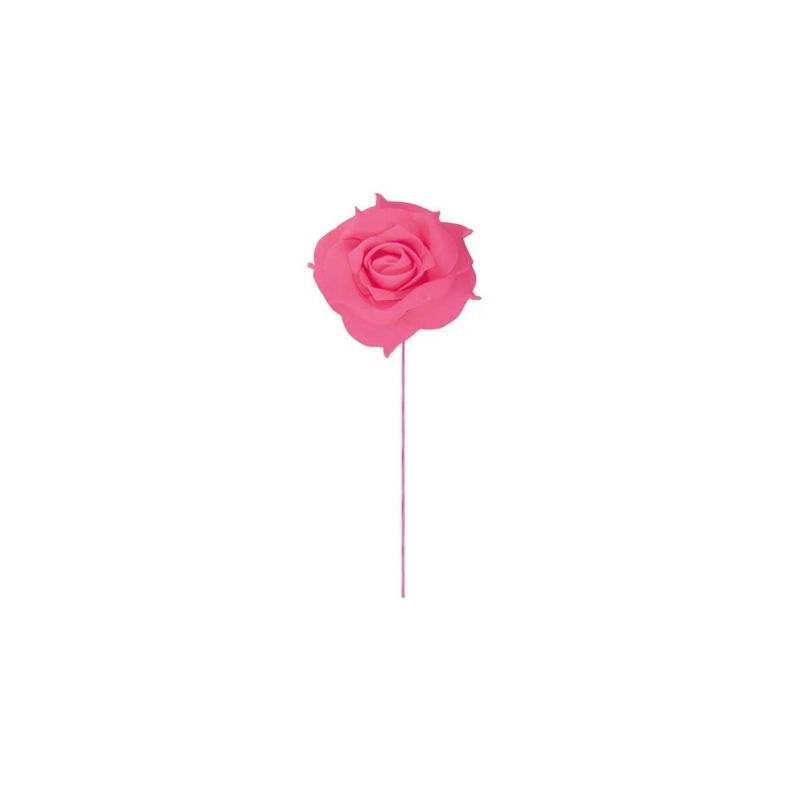 Rose sur tige