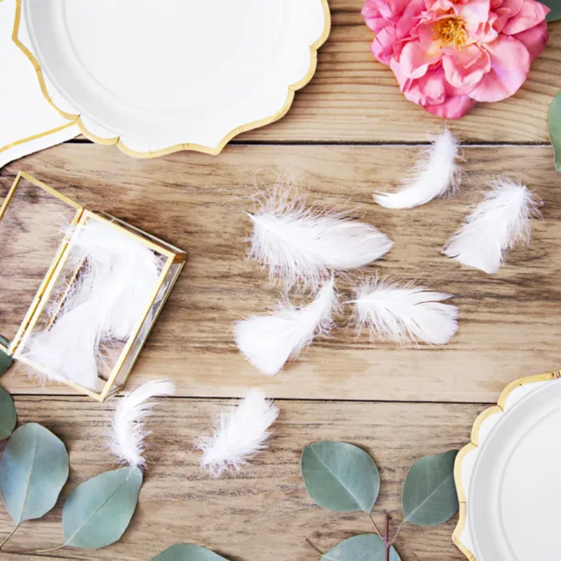 [PARPD1-008] Plumes décoratives blanches, 3g
