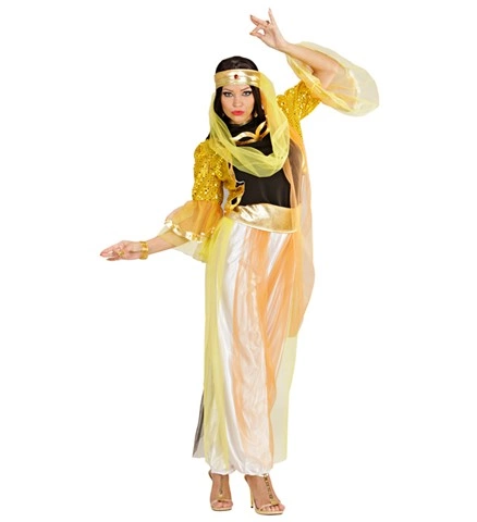 [WID37591] Belly Dancer Fancy Dress for Women (S)