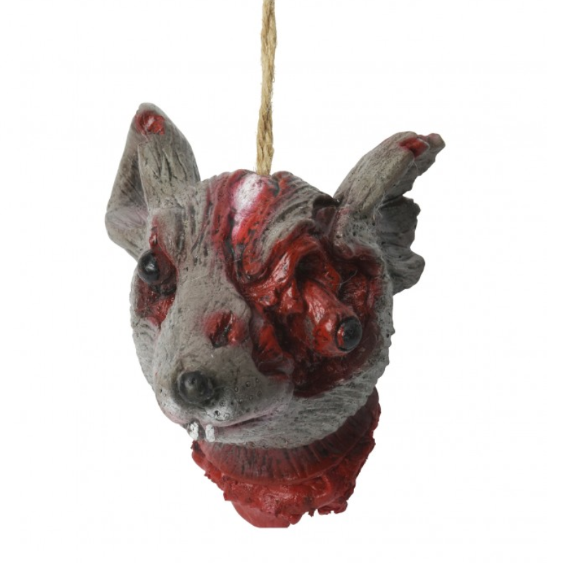 Tête de souris ensanglantée décapitée