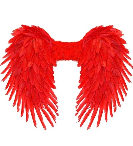 [WID21202] Ailes d'ange en plumes rouges 80 x 60 cm