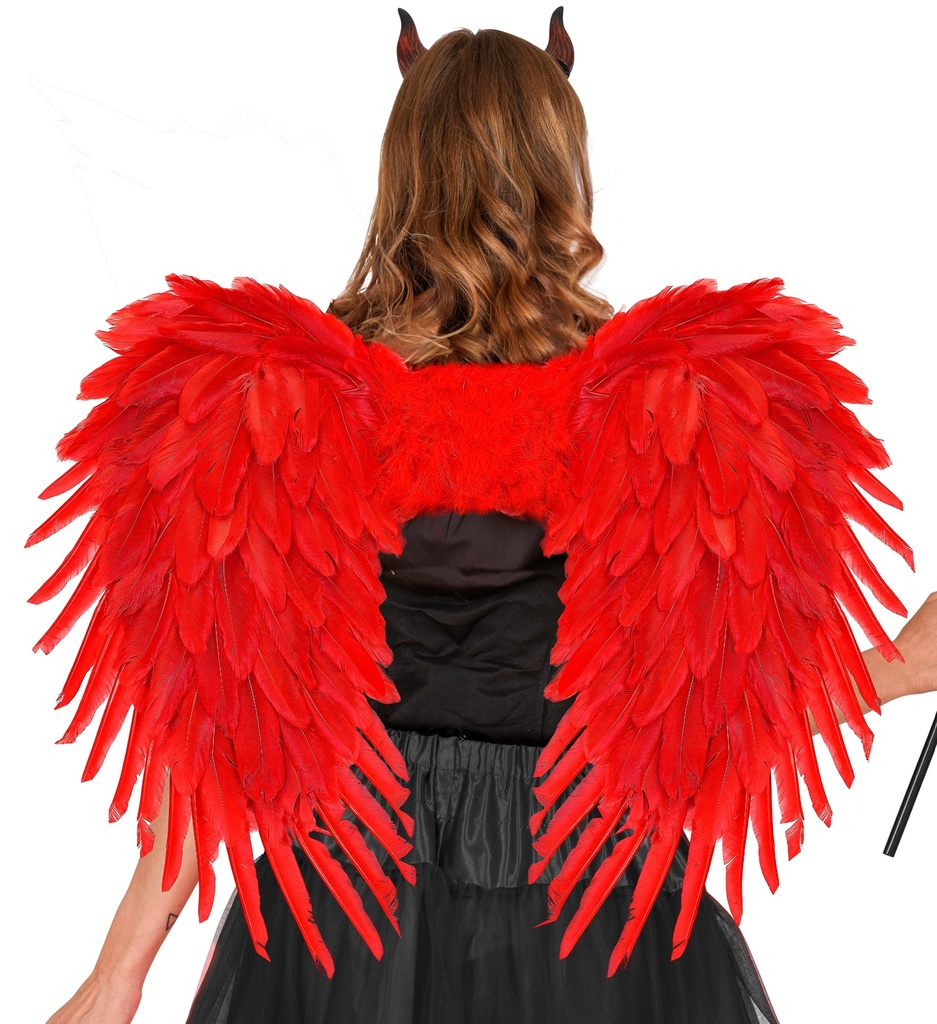 [WID21202] Ailes d'ange plumes rouges 80 x 60 cm