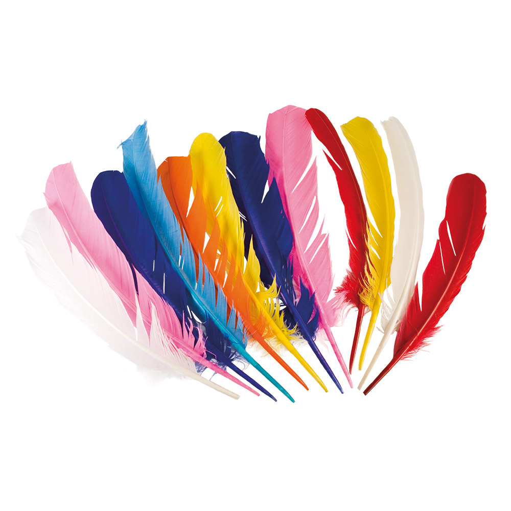 [BOL44135] 12 feathers multicoloured 30 cm
