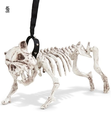 Chien squelette avec laisse 45 cm