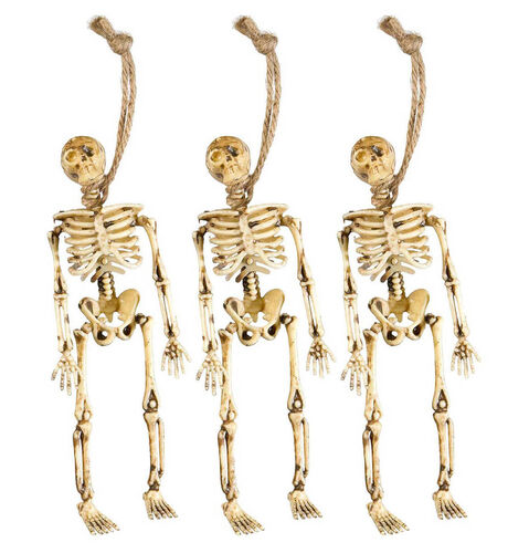 [WID6878D] Set de 3 squelette 15 cm