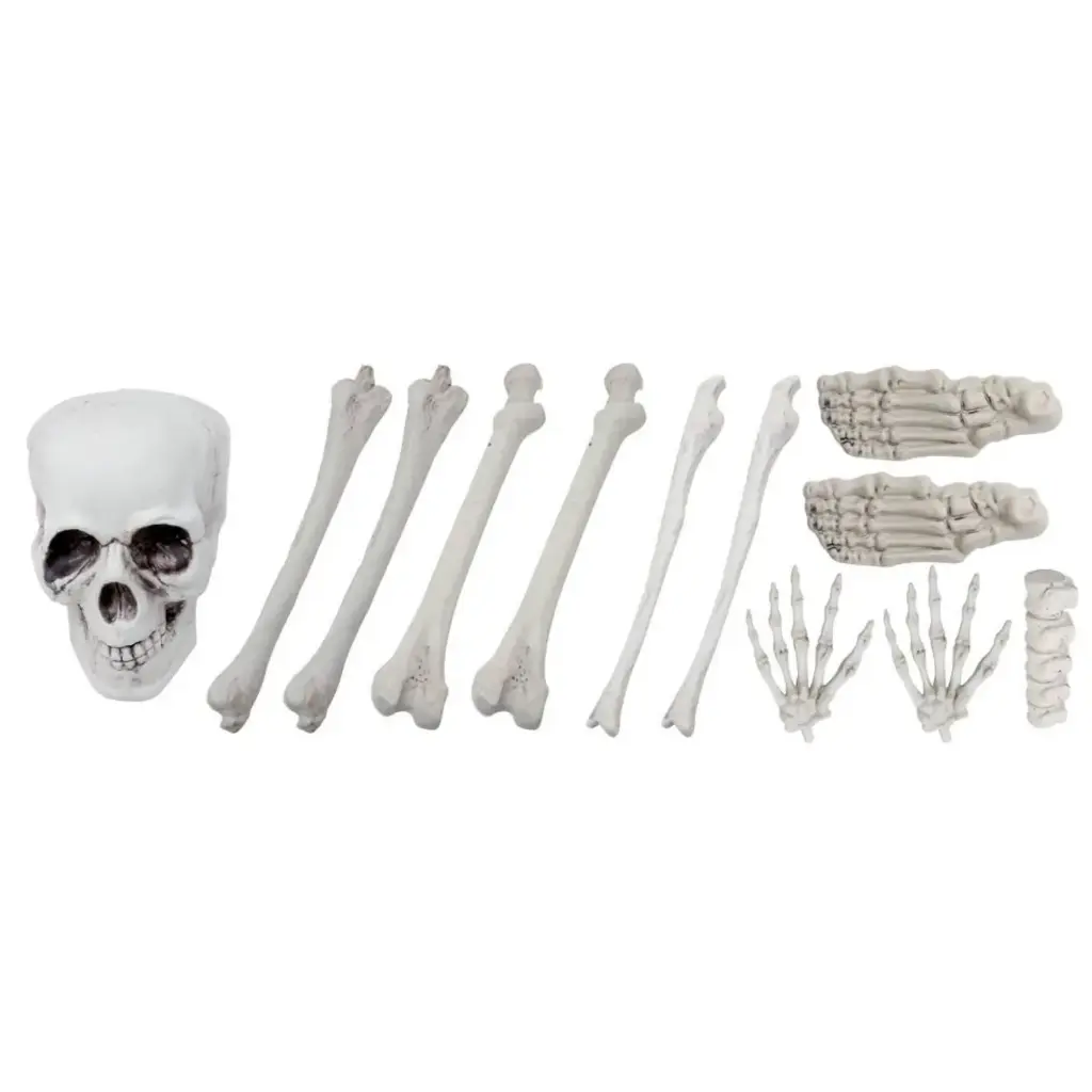 Bag of Bones - Pack of 12