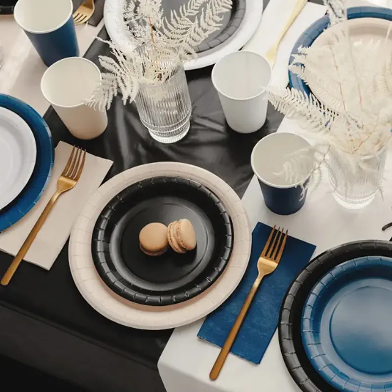 [PARTPP102-010] Assiettes noires en carton