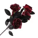 Bouquet de 5 roses bordeaux et noires