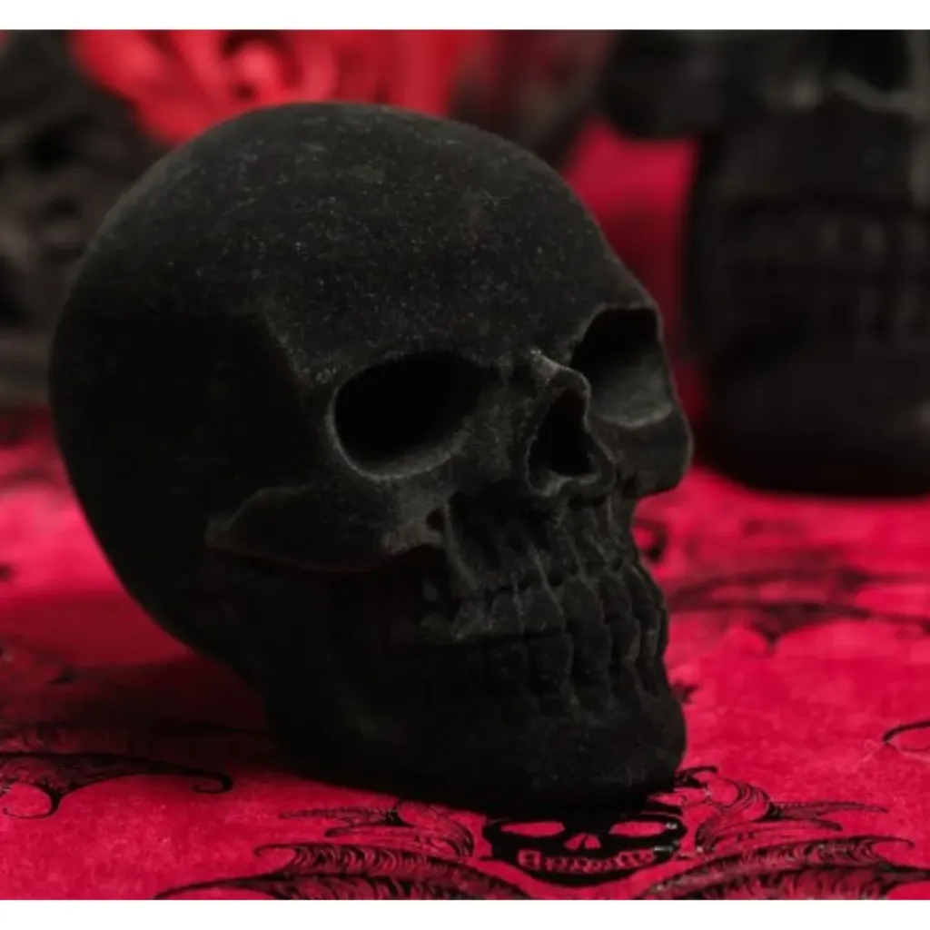 [CHA14840] Black velvet skull