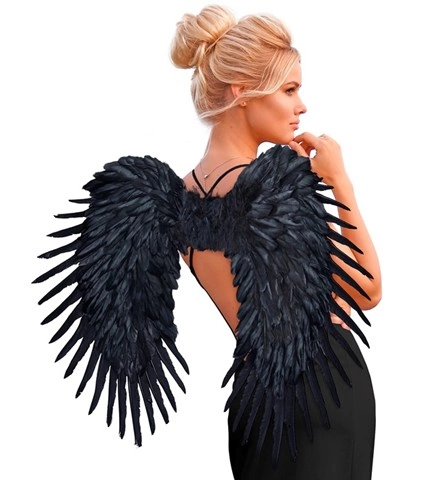 [WID01200] Ailes en plumes noires 80 x 60 cm
