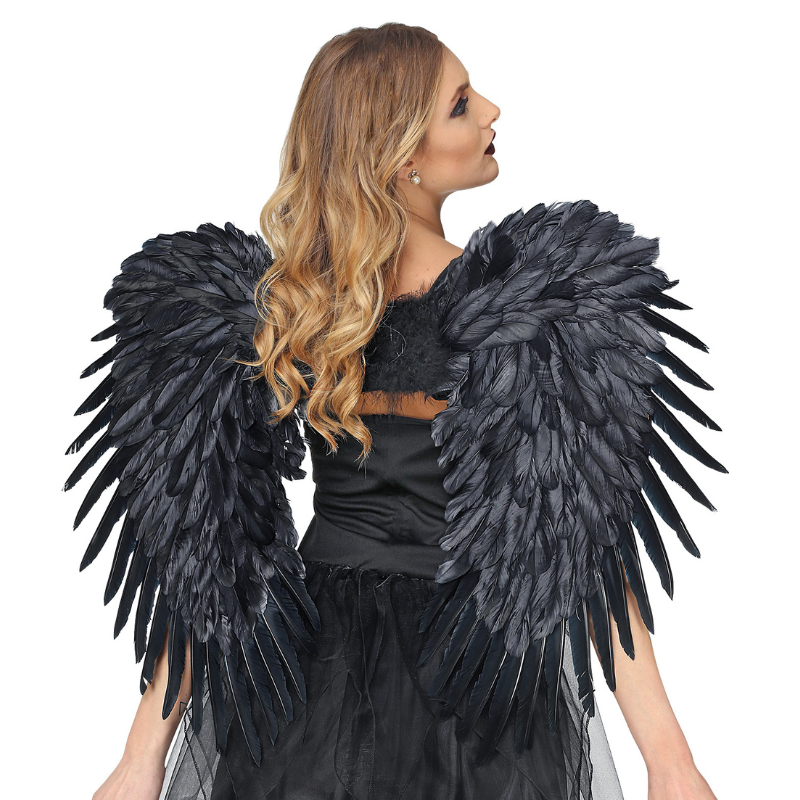 [WID01200] Ailes en plumes noires 80 x 60 cm