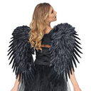Ailes en plumes noires 80 x 60 cm