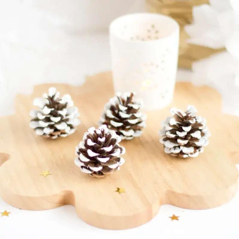 [CHA11371] Mini Snowy Pine Cones