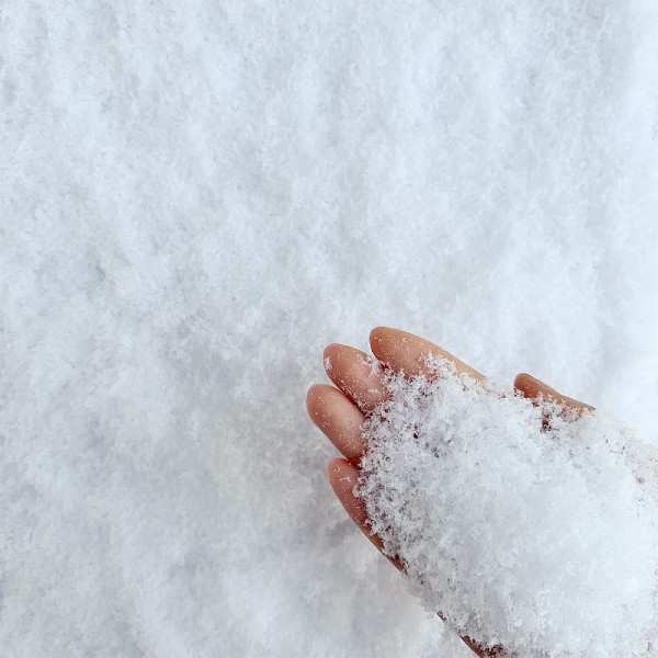 [CHA12546] Sachet neige poudreuse 75GR