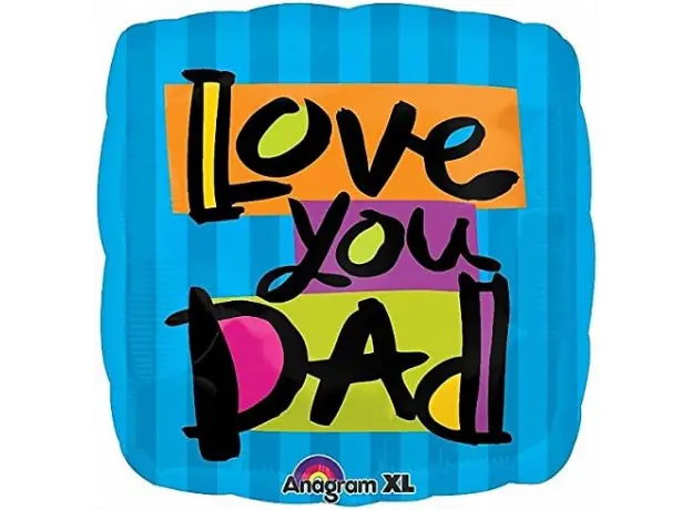 [AMS1732801] 18IC:LOVE YOU DAD