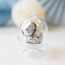 Mini cloches transparentes sur socle