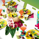 6 sous-verres Toucan tropical