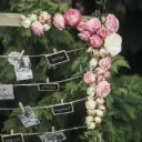 10 petites pinces décoratives en bois