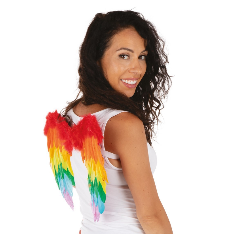 [PCL91124] Ailes en plumes arc-en-ciel - 40 x 32 cm