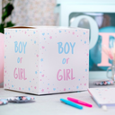 "Boy or Girl" Voting Box
