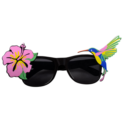 [BOL02617] Tropical flower & hummingbird glasses