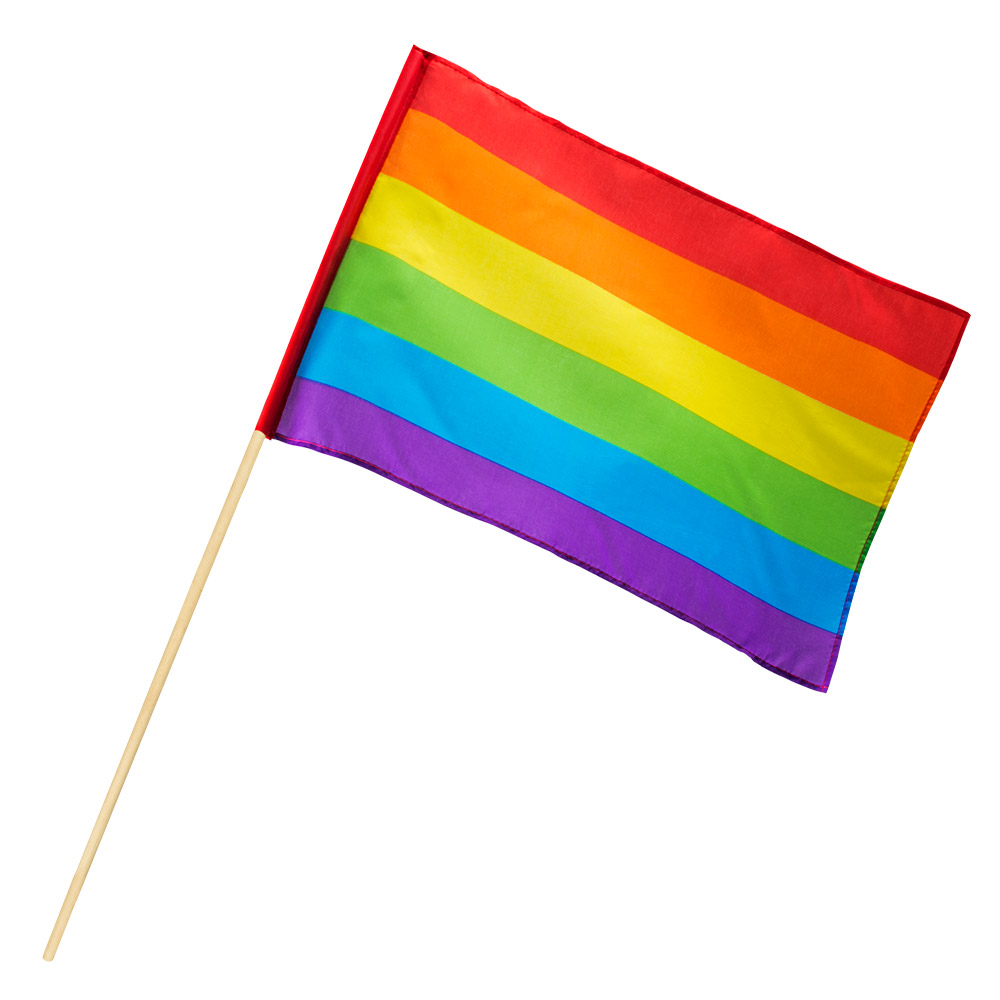 [BOL44722] Rainbow Flag on Stick 30x45 cm - 76 cm Stick