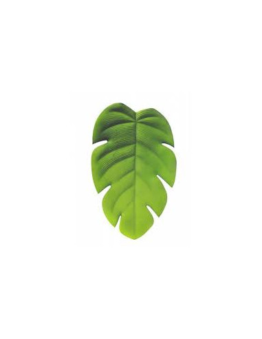 Feuille Monstera deliciosa
