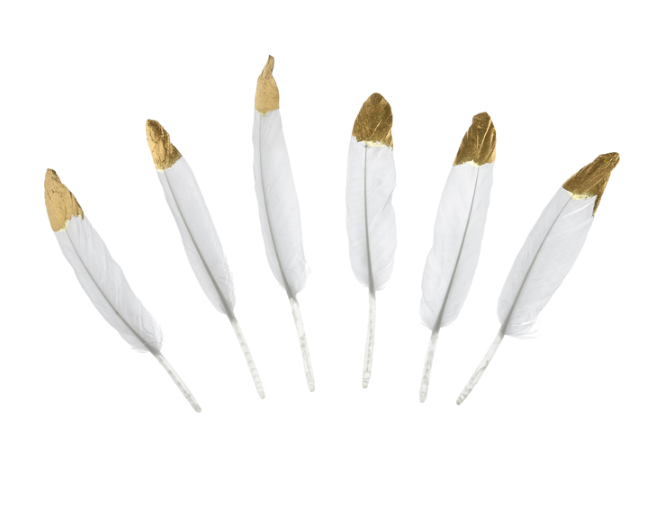 [PARPD2-008-019ME] 6 Plumes Blanches et Or