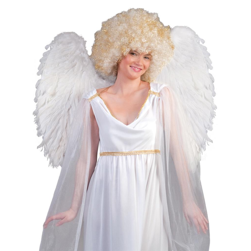[FUN53075] Ailes d'ange blanches 73 x 63 cm