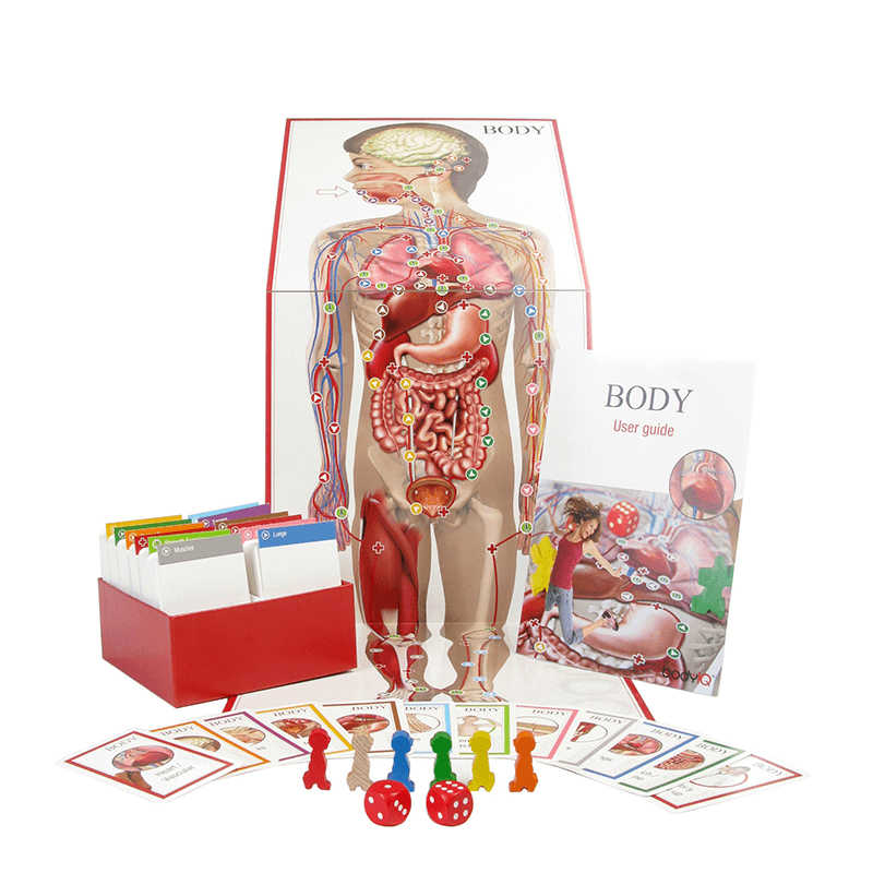 [INC011] Human Body Board Game, 480 Questions and Exercises