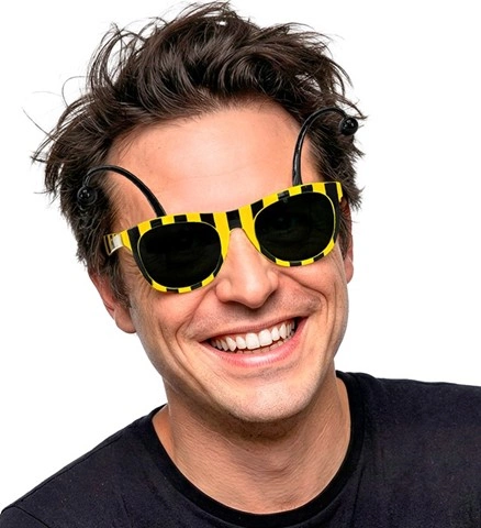 [WID0312B] Bee glasses