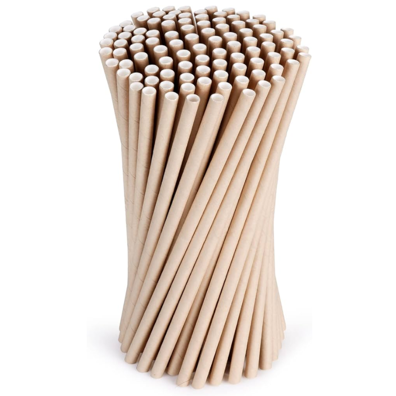 [PARSPP9-031-250] 250 Pailles Kraft 19.5 cm