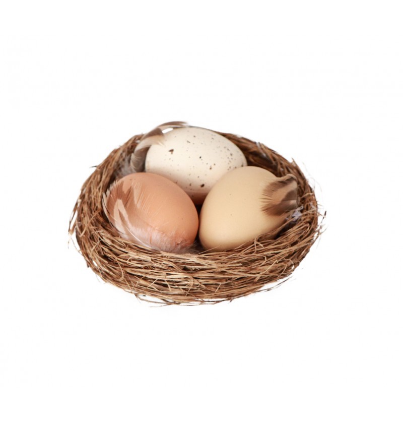 Nid d'œufs