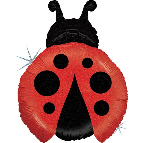 Ballon Coccinelle 69 cm