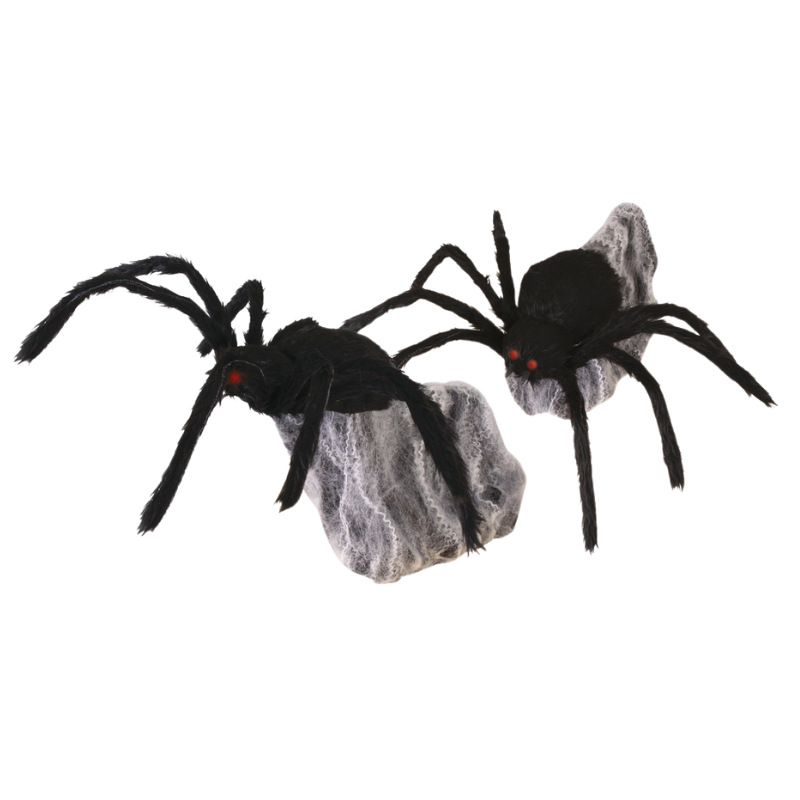 Araignée bondissante son et lumière