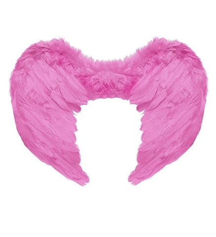 [WID01040] Ailes en plumes roses 50 x 40 cm