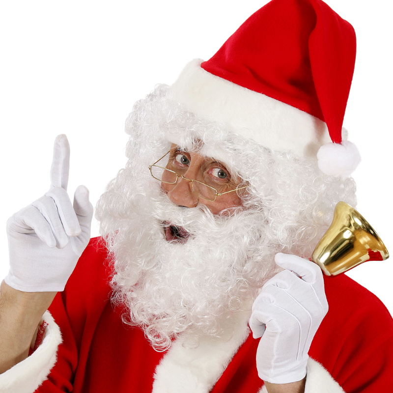 Perruque et Barbe Frisée de Père Noël