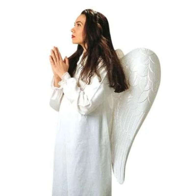 Ailes d'Ange Blanches en plastique 81x77cm